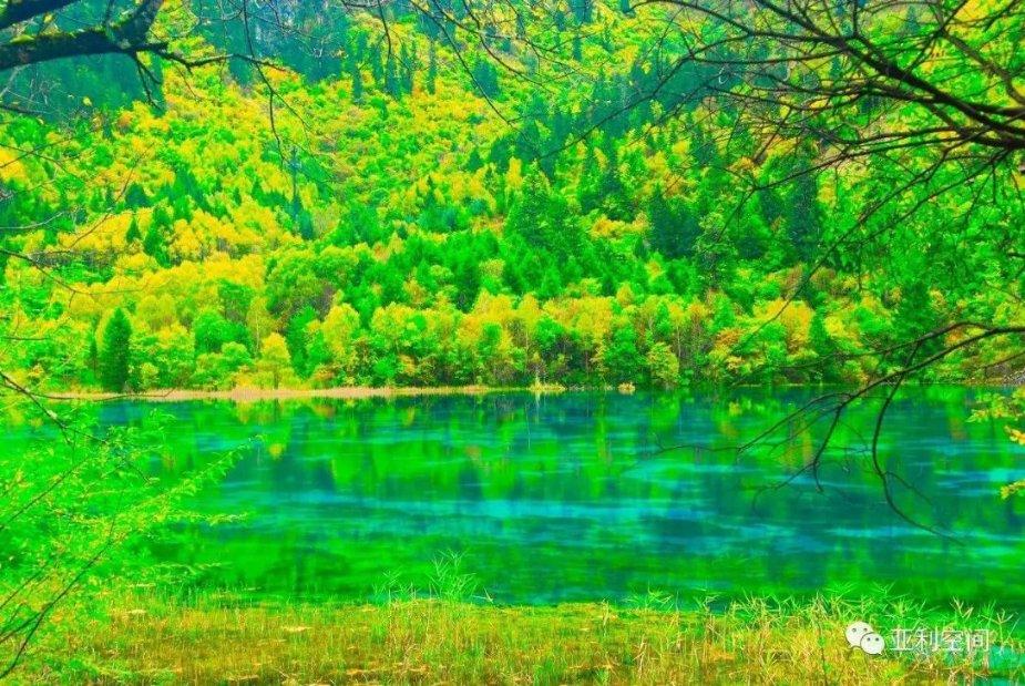 拯救巧虎4