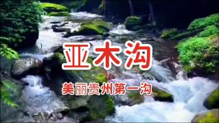 图解纪律处分条例丨对违犯党纪的党组织的处理规定