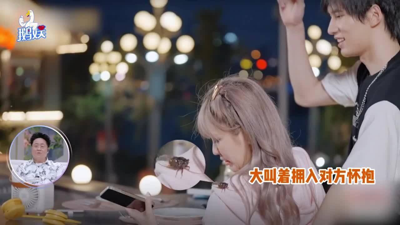 卡通小车找不同