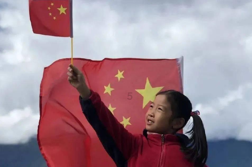 漂亮鹦鹉救援