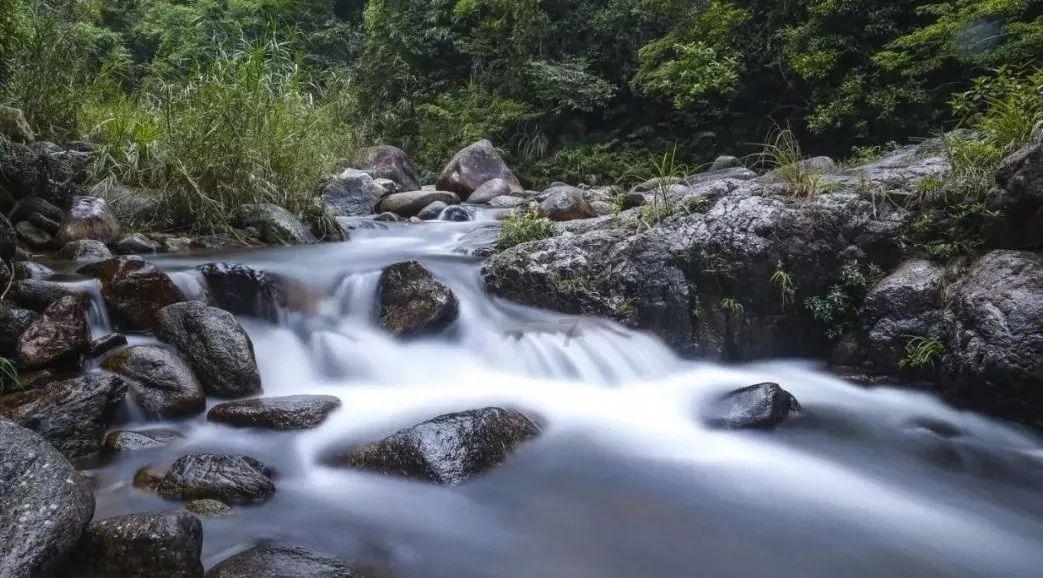 春雨直播app