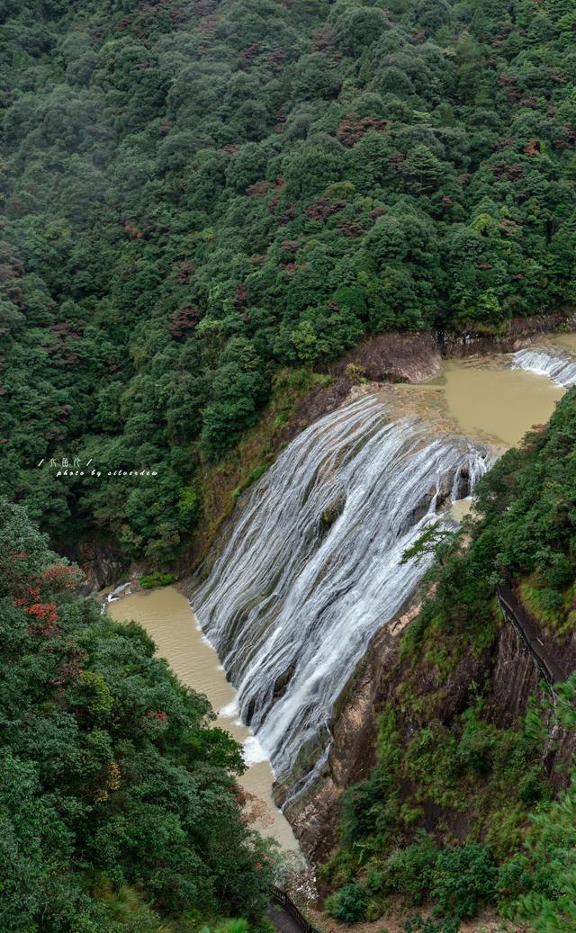 2024春节山东文化旅游节|在东明赶冬季黄河大集 品人间烟火气