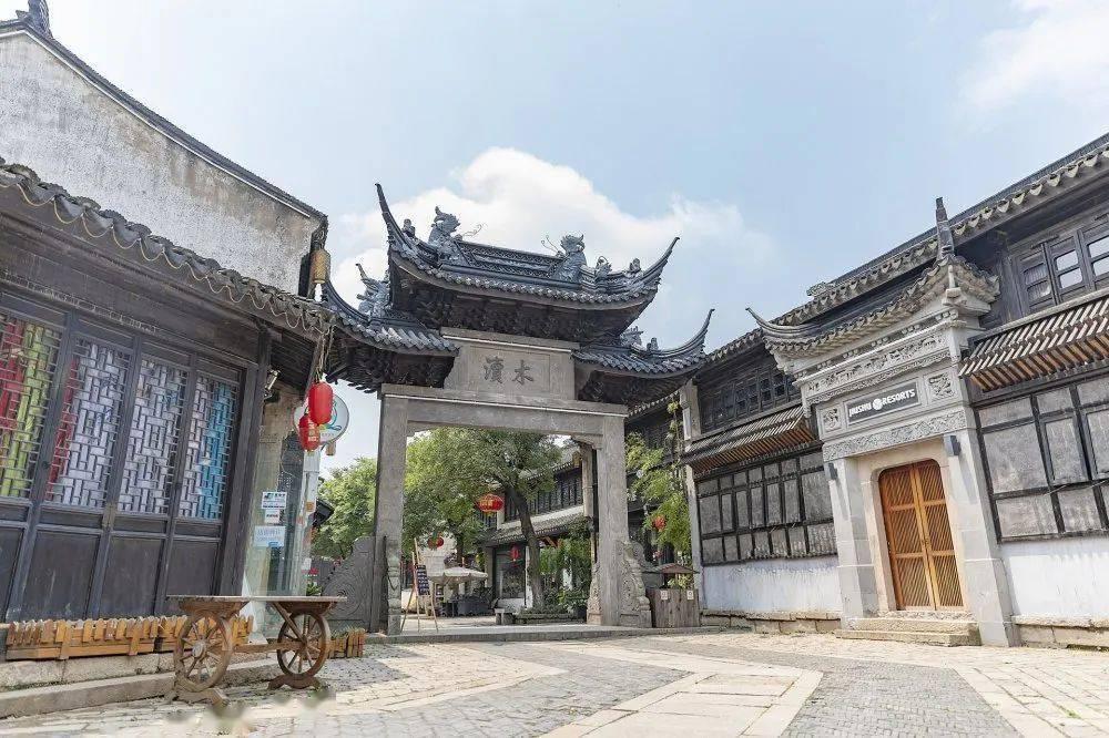 猫猫冒险团